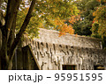 紅葉と古い塀 95951595