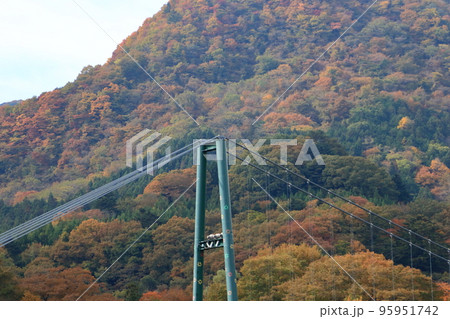 もみじ谷大吊橋 もみじ谷大吊橋 95951742