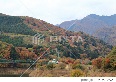 もみじ谷大吊橋 95951752