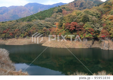 もみじ谷大吊橋 もみじ谷大吊橋 95951830