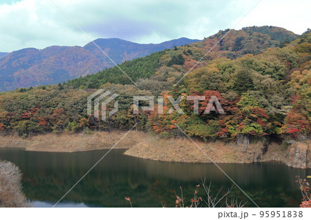 もみじ谷大吊橋 もみじ谷大吊橋 95951838