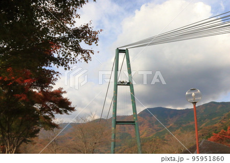 もみじ谷大吊橋 95951860