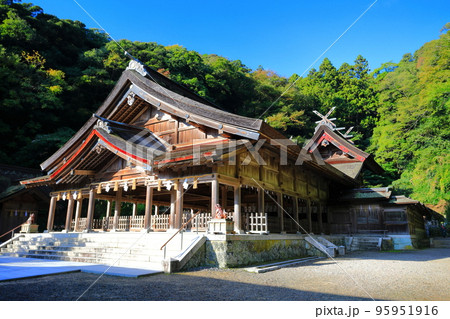 【島根県】晴天の美保神社（拝殿） 95951916