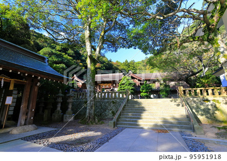 【島根県】新緑の美保神社(神門) 【島根県】新緑の美保神社(神門) 95951918