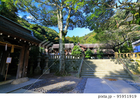【島根県】新緑の美保神社（神門） 95951919
