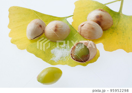 焼き銀杏　スタジオ撮影 95952298