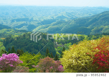 弥高山から見たツツジの花と吉備高原5 岡山県高梁市 弥高山から見たツツジの花と吉備高原5 岡山県高梁市 95952402