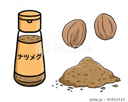 ナツメグのイラスト 95952414