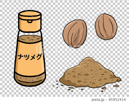 ナツメグのイラスト 95952414