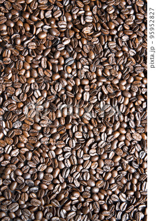 コーヒー豆　焙煎　テクスチャ 95952827