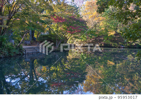 秦野の震生湖 95953017