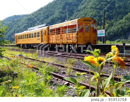 江川崎に停車中の、しまんトロッコ（JR四国） 95953708