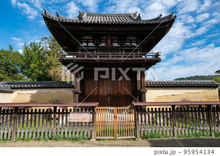 般若寺のコスモス 95954134