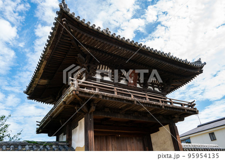 般若寺のコスモス 般若寺のコスモス 95954135