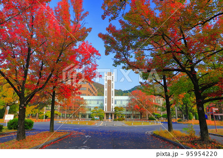【岡山県】岡山大学の中央図書館と紅葉（津島キャンパス） 95954220