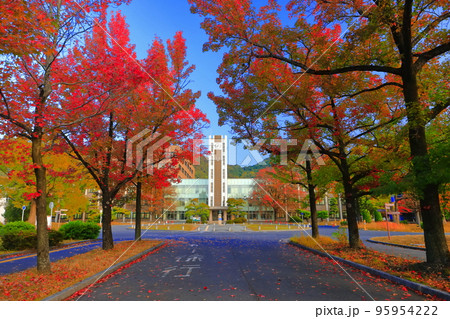 【岡山県】岡山大学の中央図書館と紅葉(津島キャンパス) 【岡山県】岡山大学の中央図書館と紅葉(津島キャンパス) 95954222