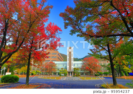【岡山県】岡山大学の中央図書館と紅葉（津島キャンパス） 95954237