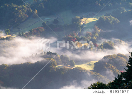 《埼玉県》秩父雲海・美の山公園の眺め 95954677