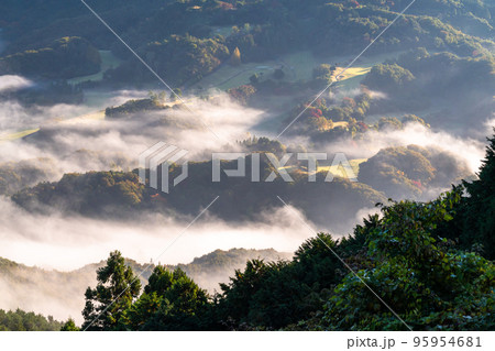 《埼玉県》秩父雲海・美の山公園の眺め 95954681