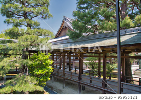 大覚寺の回廊    京都　日本 95955121