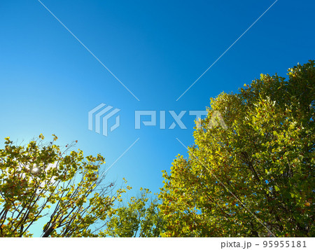 爽やかな秋の風景 爽やかな秋の風景 95955181