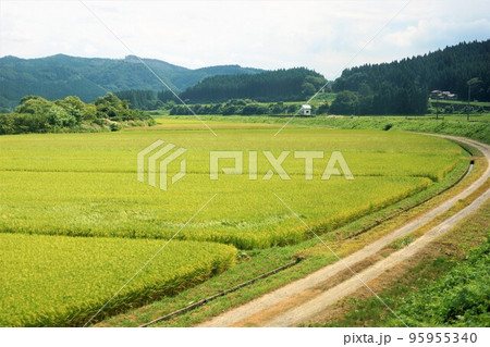 由利高原鉄道(鳥海山麓線)からの車窓風景 吉沢駅付近(田園風景) 由利高原鉄道(鳥海山麓線)からの車窓風景 吉沢駅付近(田園風景) 95955340