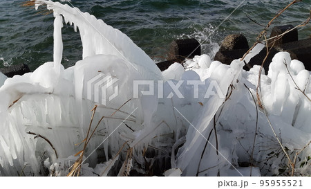 猪苗代湖のしぶき氷 95955521