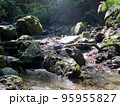 河原の光 95955827