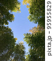 空を見上げて 95955829