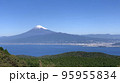 海辺から見る富士山 95955834