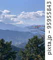 朝の富士山 95955843