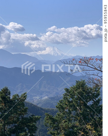 朝の富士山 95955843