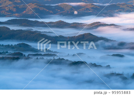 《埼玉県》秩父・夜明けの大雲海 《埼玉県》秩父・夜明けの大雲海 95955883