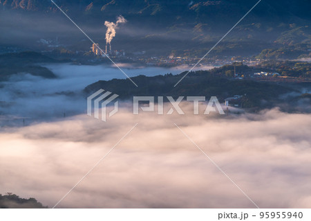 《埼玉県》秩父・夜明けの大雲海 95955940