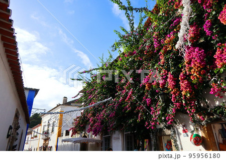 ポルトガルの中世の村、オビドス(Obidos in Portugal) ポルトガルの中世の村、オビドス(Obidos in Portugal) 95956180