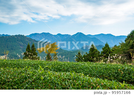 歴史の里 田峯~愛知県・設楽町 歴史の里 田峯~愛知県・設楽町 95957166