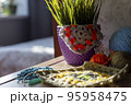 cozy sunny morning at home. Knitting and plant 95958475