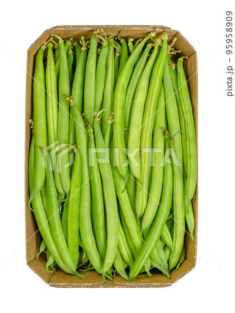 Fresh green beans in a cardboard punnet. Young, unripe fruits of a cultivar of the common bean or also French bean, Phaseolus vulgaris. Close-up, isolated, from above, on white background, food photo. Fresh green beans in a cardboard punnet. Young, unripe fruits of a cultivar of the common bean or also French bean, Phaseolus vulgaris. Close-up, isolated, from above, on white background, food photo. 95958909