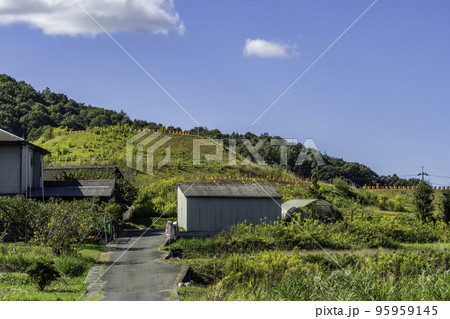 千足古墳　造山第5号墳　岡山県岡山市 95959145