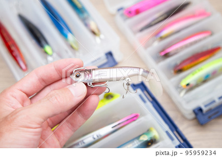 ソフトルアー ワーム (ルアーの種類 特徴 選び方) ソフトルアー ワーム (ルアーの種類 特徴 選び方) 95959234