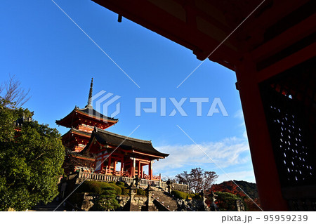 清水寺の紅葉 清水寺の紅葉 95959239