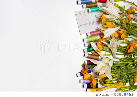 A set of threads and needles with flowers on a white background with place for text. Congratulations on the holiday to a seamstress, a tailor, an atelier worker. Happy tailors day, 8 March, birthday. A set of threads and needles with flowers on a white background with place for text. Congratulations on the holiday to a seamstress, a tailor, an atelier worker. Happy tailors day, 8 March, birthday. 95959463