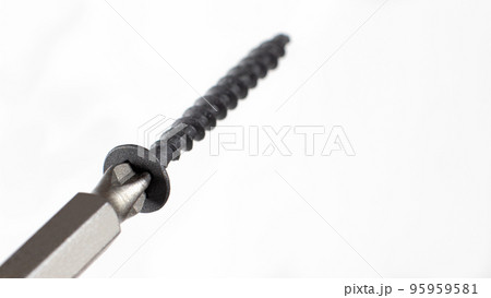 Self-cutters and screwdriver on a white background with space for text. Screw with thread - fasteners for construction, tools and accessories repair Self-cutters and screwdriver on a white background with space for text. Screw with thread - fasteners for construction, tools and accessories repair 95959581