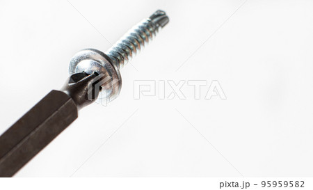 Self-cutters and screwdriver on a gray background with space for text. Screw with thread - fasteners for construction, tools and accessories repair Self-cutters and screwdriver on a gray background with space for text. Screw with thread - fasteners for construction, tools and accessories repair 95959582