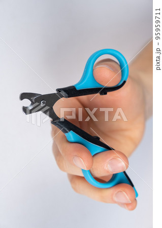 Pet nail clippers in human hands, top view Pet nail clippers in human hands, top view 95959711