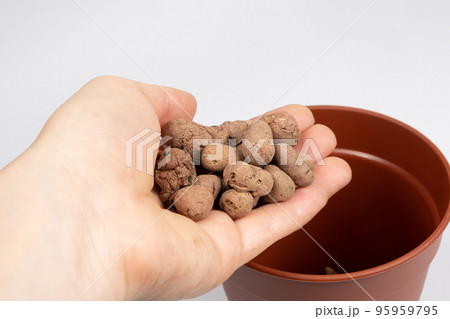 Drainage stones for indoor plants in a person's hand. 95959795