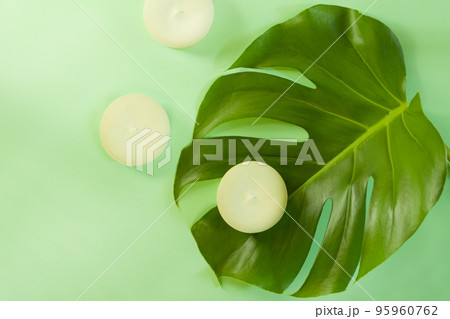 solid shampoo on eco green monstera flower- hair care organic Spa treatement-zero waist solid shampoo on eco green monstera flower- hair care organic Spa treatement-zero waist 95960762