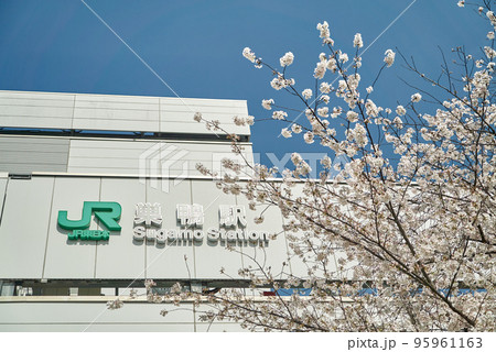 JR巣鴨駅 桜 春 快晴 95961163