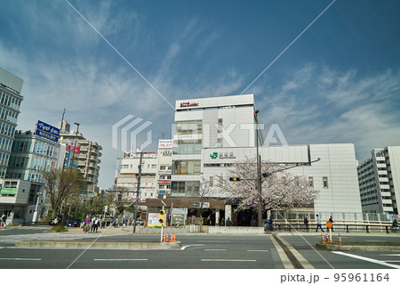 JR巣鴨駅 桜 春 快晴 95961164