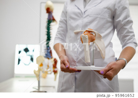 Female traumatologist doctor holding the shoulder joint model in office at the clinic Female traumatologist doctor holding the shoulder joint model in office at the clinic 95961652